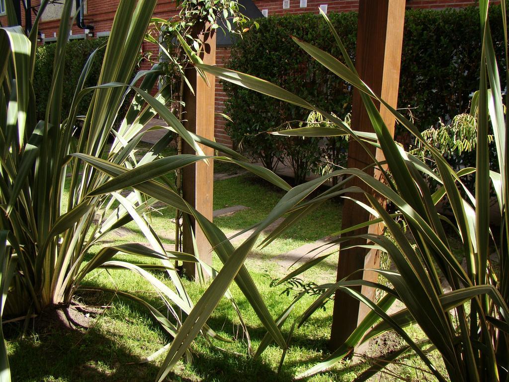 Valeria House Rental Suites Valeria del Mar Bagian luar foto